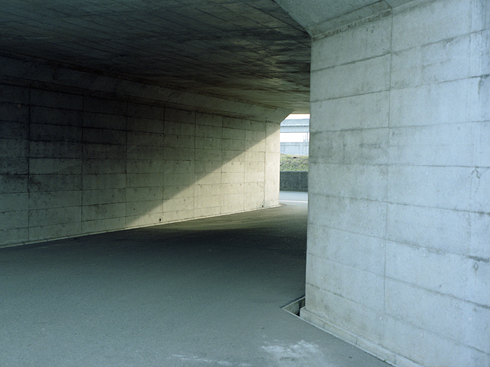 461.サンセット