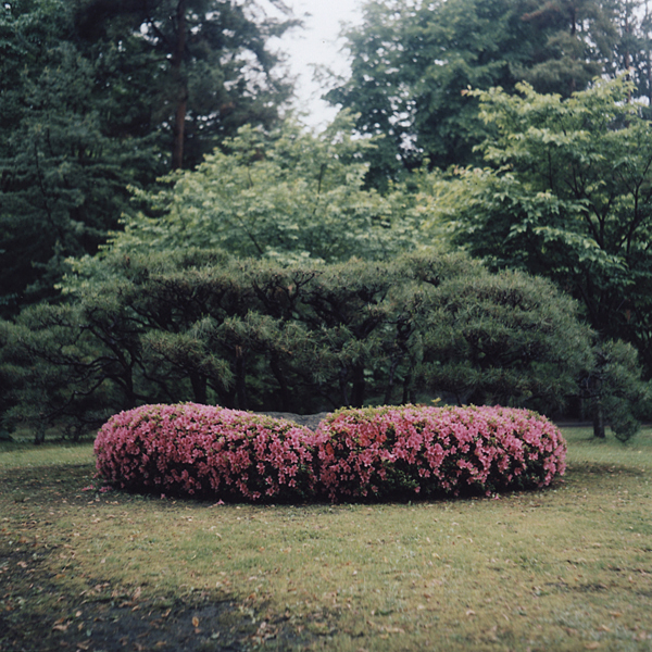 707-600.jpg 707-600.jpg