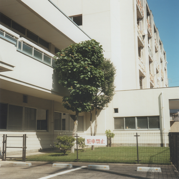 414.ニューカラー