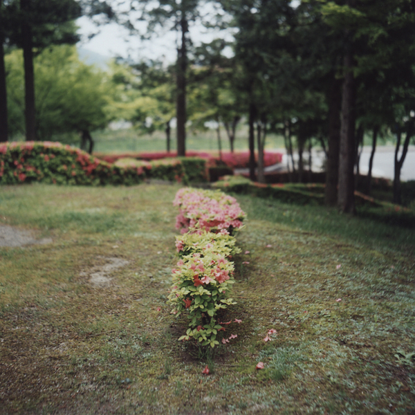 686-600.jpg 686-600.jpg