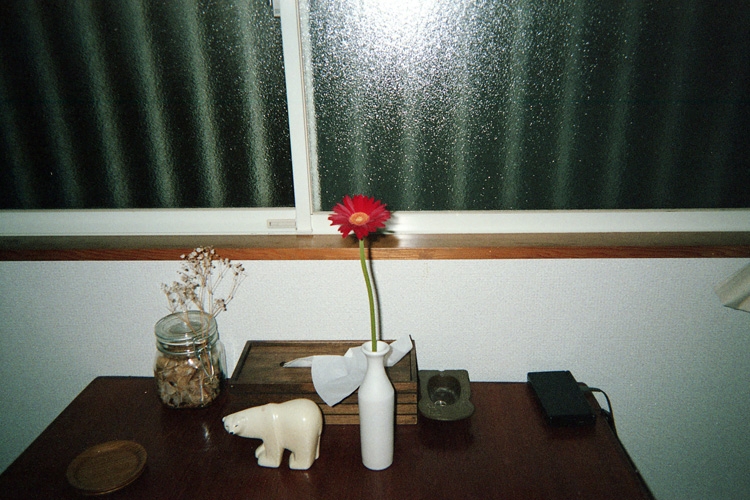 days037.jpg