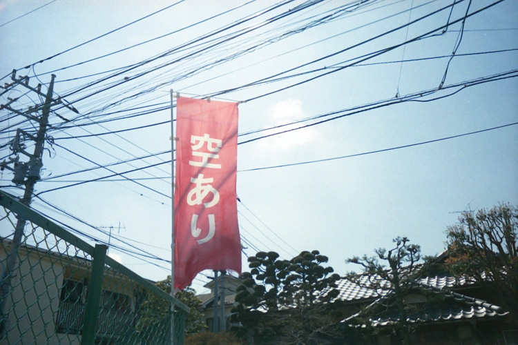 days038.jpg