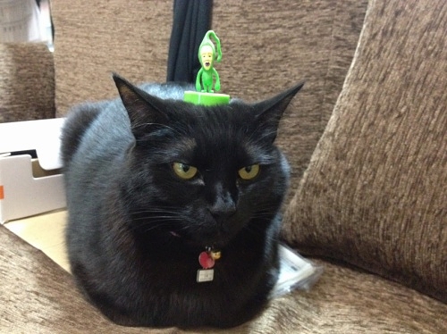 黒猫バス