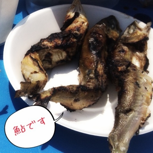 鮎