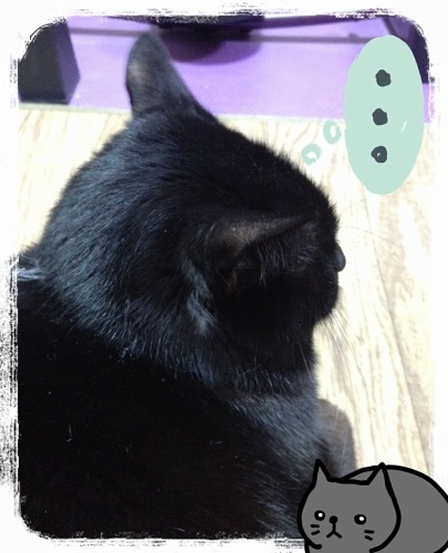 黒猫 ココ