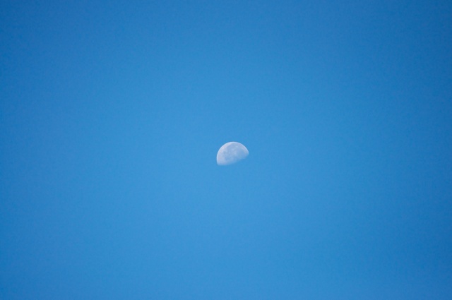 DSC_0686.jpg