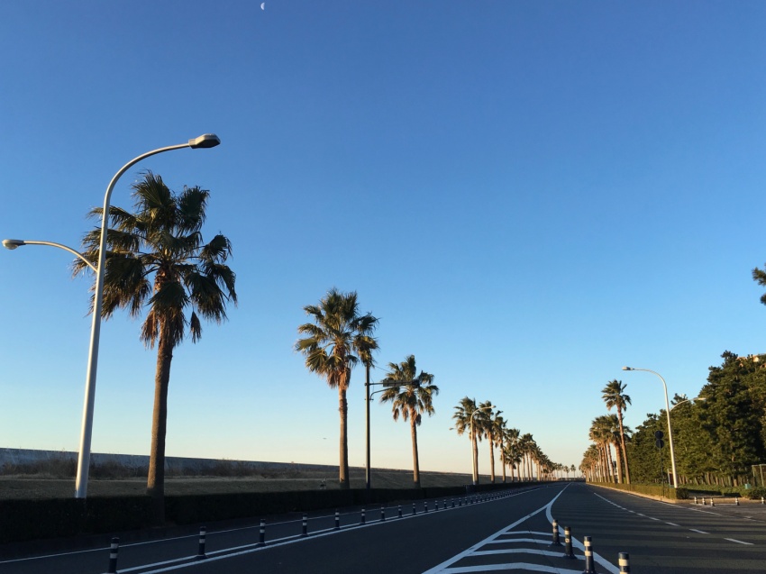 夢に続く道 夢に続く道