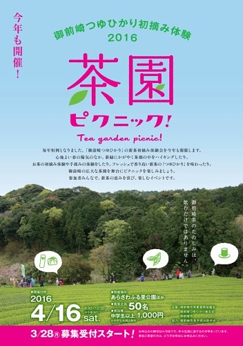 御前崎つゆひかり 茶園ピクニック2016 御前崎つゆひかり 茶園ピクニック2016
