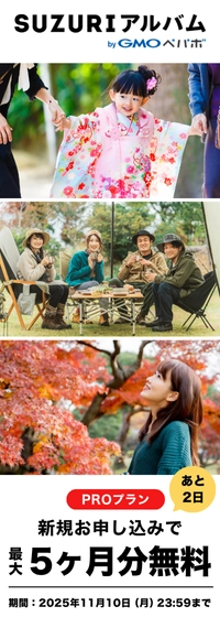 PROプラン アップグレードキャンペーン！今だけ！最大5ヶ月無料！