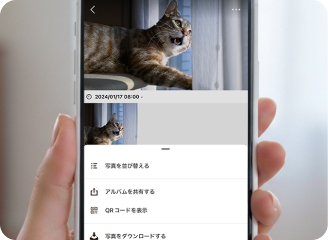 アルバムを共有