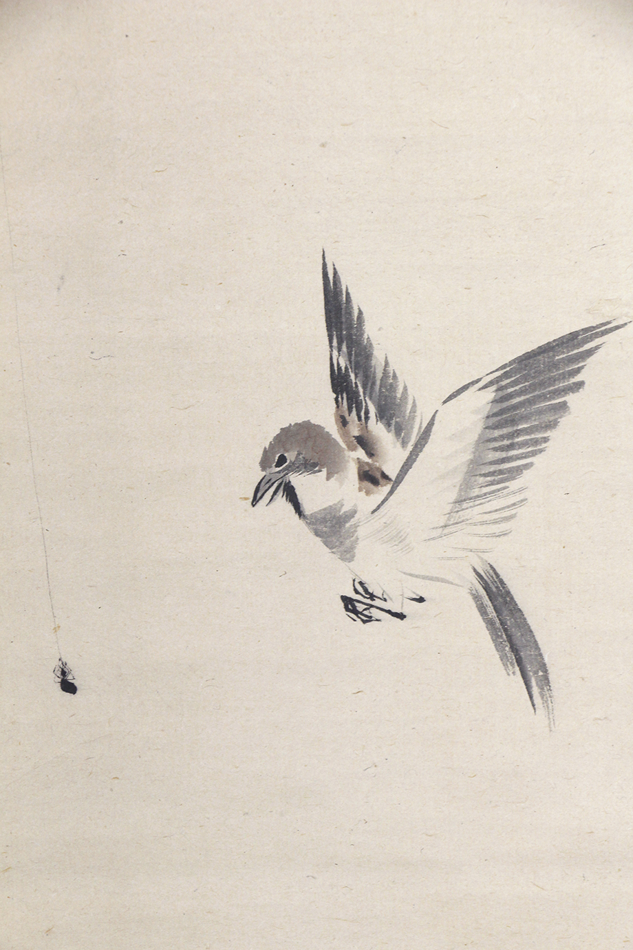 蜘蛛小禽図」江戸中期 円山応挙门下 奇想派 絵画 - 购够网