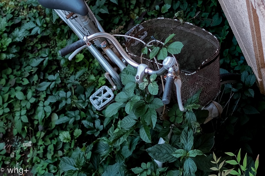 夏の・ご褒美・・