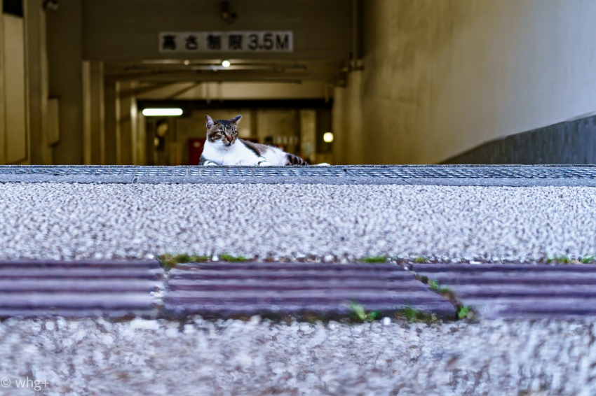 昨年の2月12日のこと・・