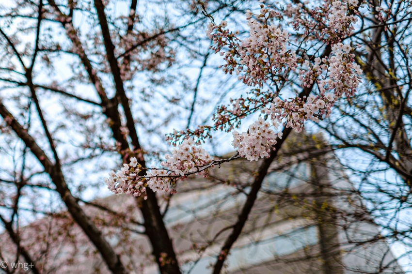 昨年の2月12日のこと・・