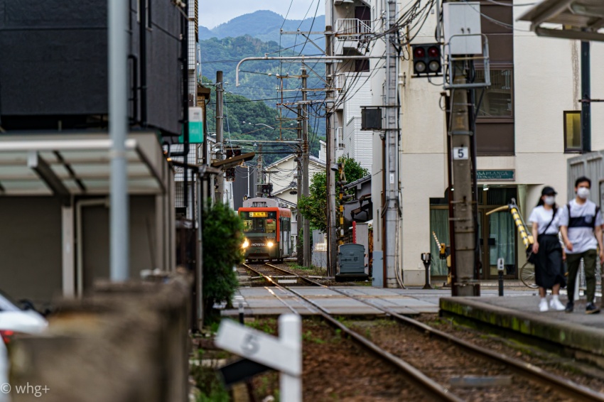 昨年の2月12日のこと・・