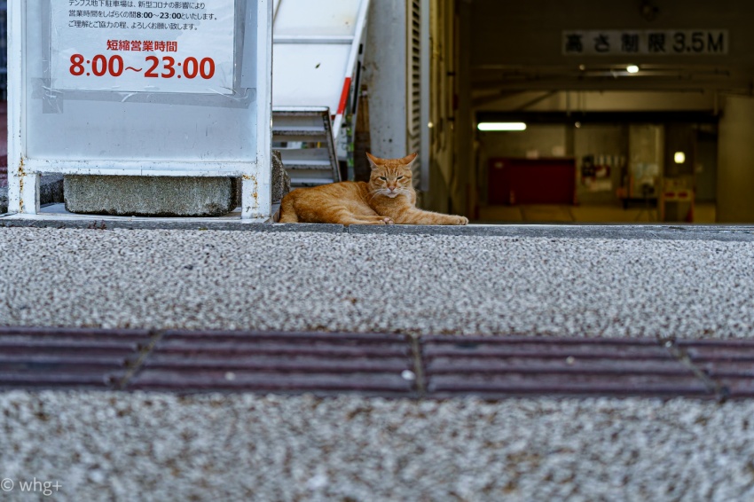 昨年の2月12日のこと・・