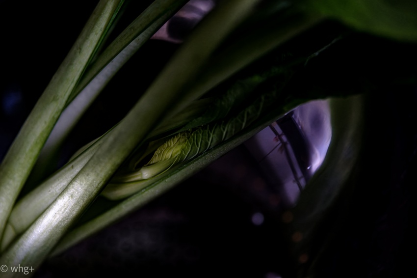 PH