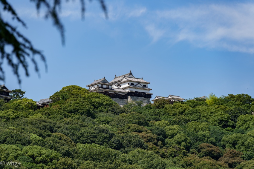 昨年の2月12日のこと・・