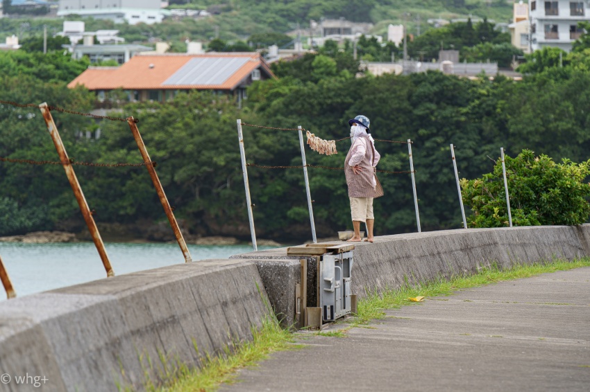 昨年の2月12日のこと・・