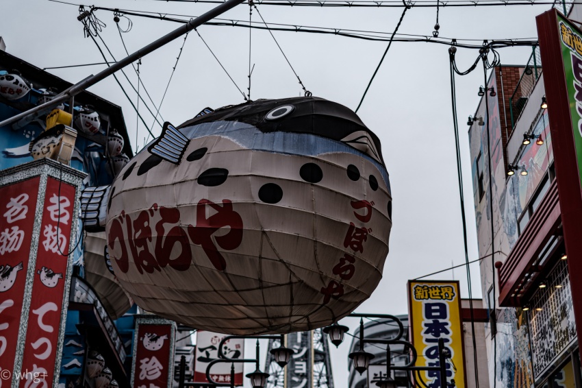 昨年の2月12日のこと・・