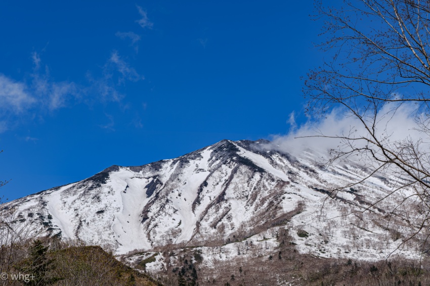 昨年の2月12日のこと・・