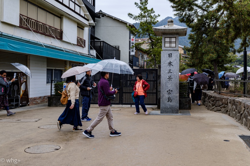 雪の暗示・・