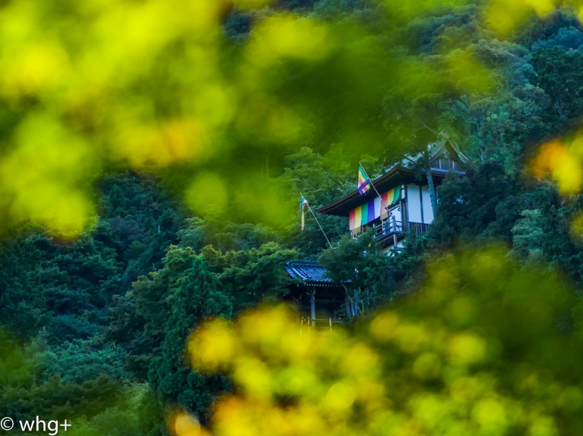archives kyoto・GH4＋75mm・09・・