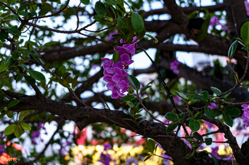 昨年の2月12日のこと・・