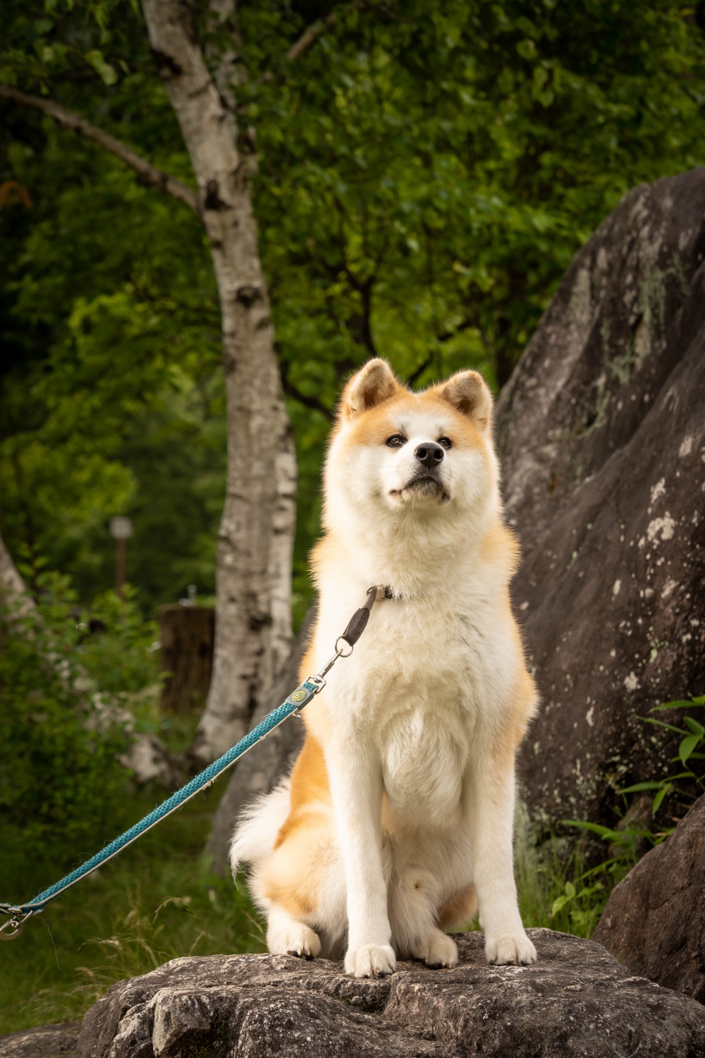 木下様 写真共有サービス 30days Album